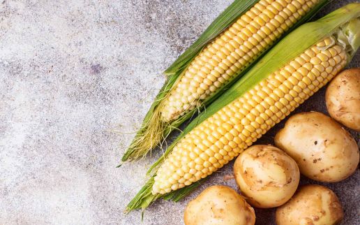 Comarch Implements a Sales Support System for Frito Lay part of PepsiCo group