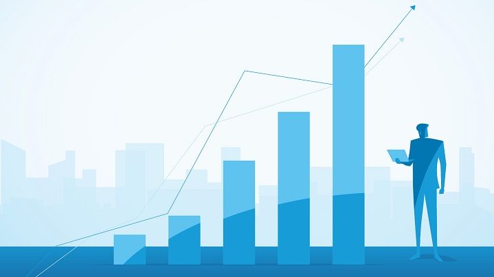 Polish Company Holds Over 20 Per Cent of ERP Market for First Time