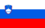Mandatory E-Invoicing in Slovenia